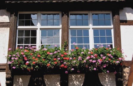 Francia - Strasburgo Francia - Strasburgo